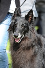 Lamia Deabei 9 Jahre